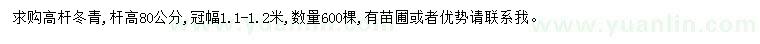 求購桿高80公分高桿冬青