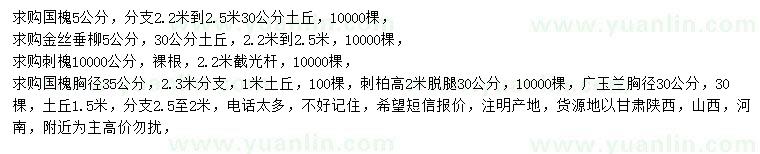 求購國槐、金絲垂柳、刺槐等