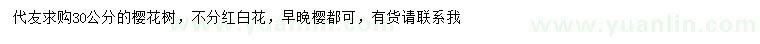 求購30公分櫻花樹