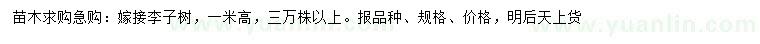 求購(gòu)高1米嫁接李子樹(shù)