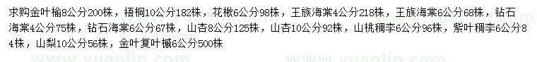 求購金葉榆、梧桐、花楸等