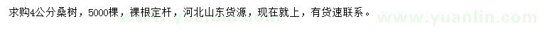 求購4公分桑樹