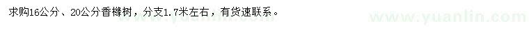 求購(gòu)16、20公分香櫞