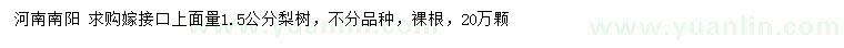 求購(gòu)1.5公分梨樹