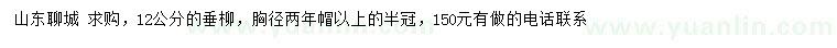 求購胸徑12公分垂柳