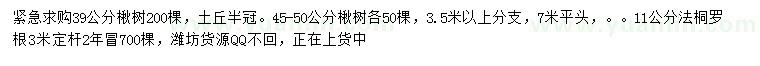求購39、45-50公分楸樹、11公分法桐