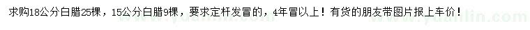 求購15、18公分白臘