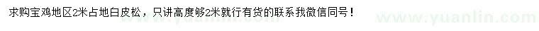 求購(gòu)2米占地白皮松