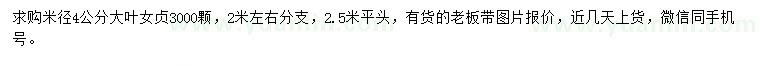 求購米徑4公分大葉女貞