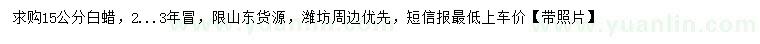 求購(gòu)15公分白蠟