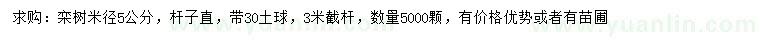 求購米徑5公分欒樹