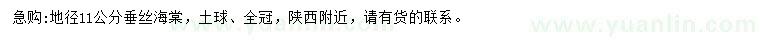 求購地徑11公分垂絲海棠