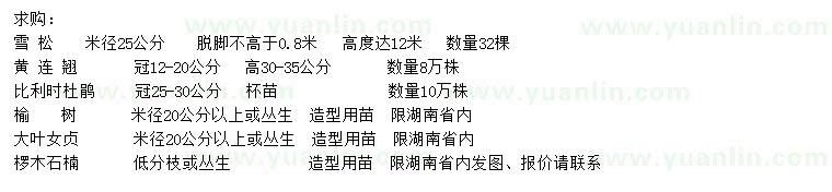 求購(gòu)雪松、黃連翹、比利時(shí)杜鵑等