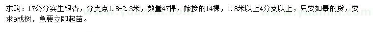 求購17公分銀杏