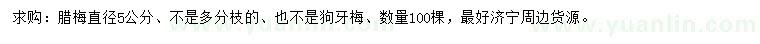 求購直徑5公分臘梅