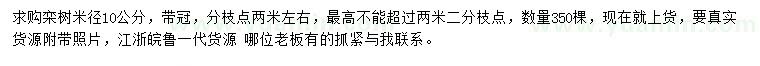 求購米徑10公分欒樹