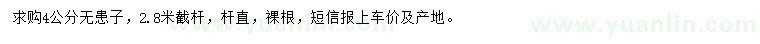 求購4公分無患子