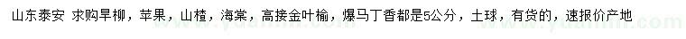 求購旱柳、蘋果、山楂等