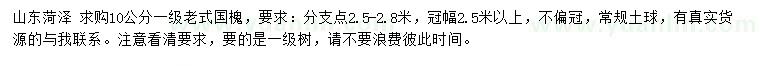 求購10公分老式國槐