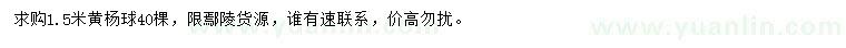 求購1.5米黃楊球