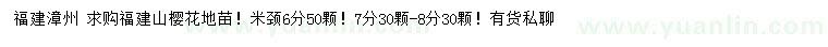 求購(gòu)米徑6、7公分山櫻花地苗