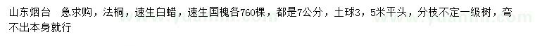 求購(gòu)法桐、速生白蠟、速生國(guó)槐