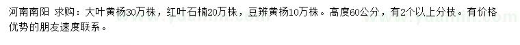求購大葉黃楊、紅葉石楠、豆辨黃楊