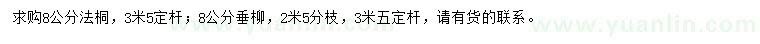 求購8公分法桐、垂柳