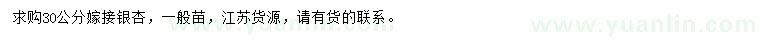 求購30公分嫁接銀杏