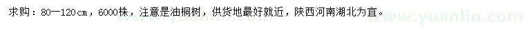 求購80-120公分油桐樹苗