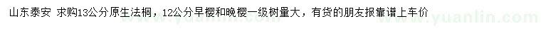 求購法桐、早櫻、晚櫻