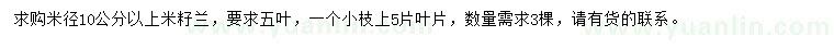 求購米徑10公分以上米籽蘭