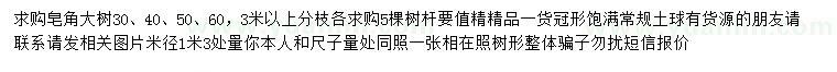求購30、40、50、60、70公分皂角大樹