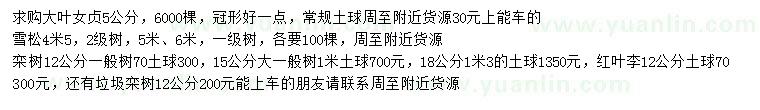 求購大葉女貞、雪松、欒樹等
