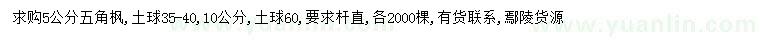 求購5公分五角楓