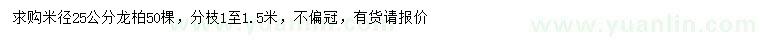 求購米徑25公分龍柏