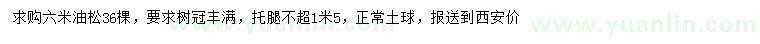求購6米油松