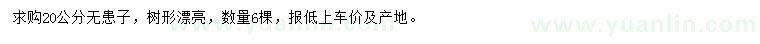 求購20公分無患子
