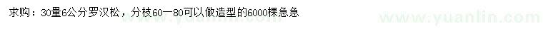 求購(gòu)30量6公分羅漢松