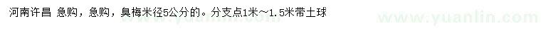 求購米徑5公分臭梅