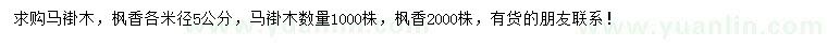 求購(gòu)米徑5公分馬褂木、楓香