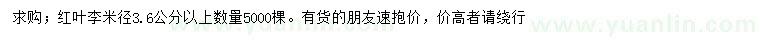 求購(gòu)米徑3.6公分以上紅葉李