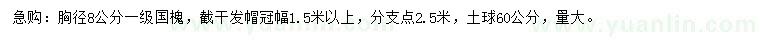 求購(gòu)胸徑8公分國(guó)槐