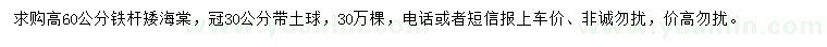 求購高60公分鐵桿矮海棠