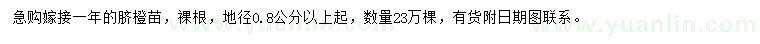 求購地徑0.8公分以上臍橙苗