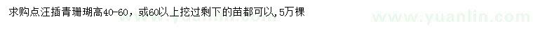 求購高40-60公分青珊瑚