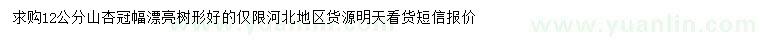 求購12公分山杏