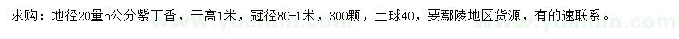 求購地徑20量5公分紫丁香
