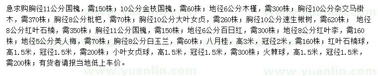 求購國槐、木槿、雜交馬褂木等