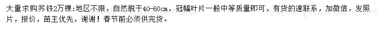 求購40-60公分蘇鐵